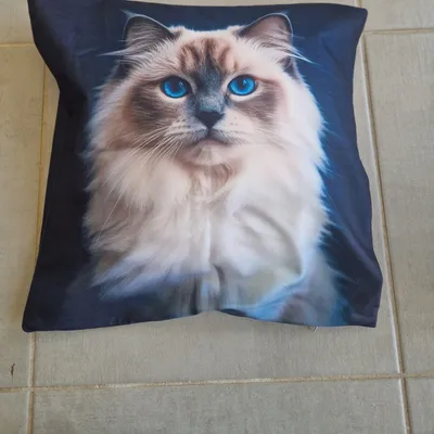 Magnifique housse de coussin 45x45cm 